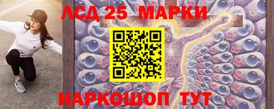 дмт Донской