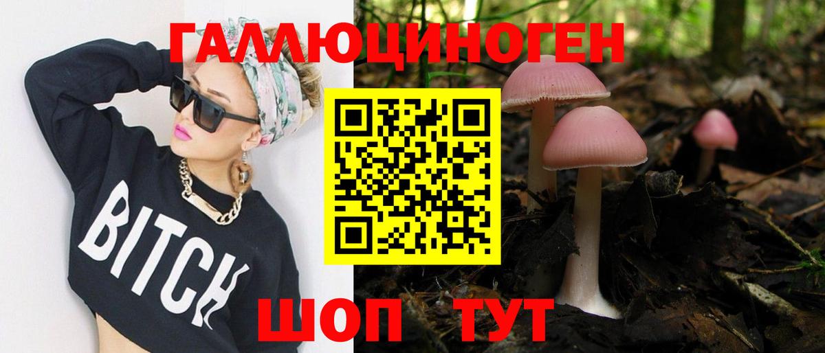 Галлюциногенные грибы GOLDEN TEACHER Кашира